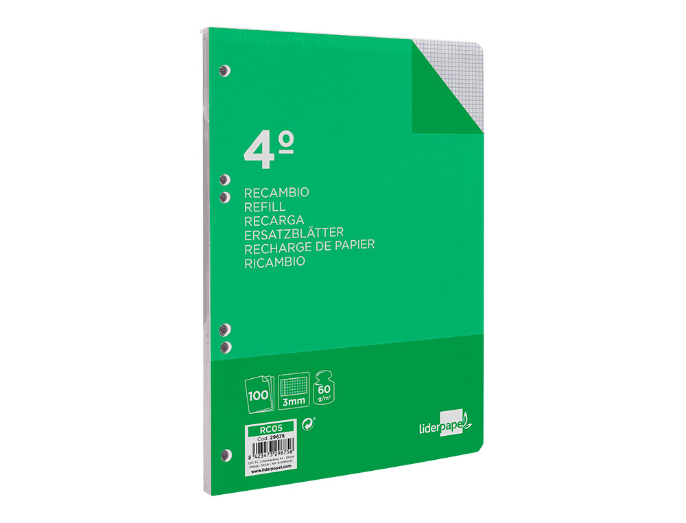 RECAMBIO LIDERPAPEL CUARTO 100 HOJAS 60GR CUADRO 3MM CON MARGEN 6 TALADROS