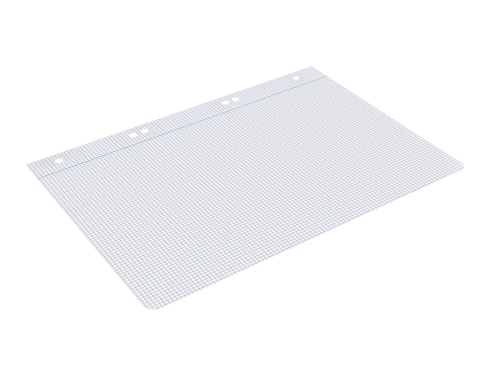 RECAMBIO LIDERPAPEL CUARTO 100 HOJAS 60GR CUADRO 3MM CON MARGEN 6 TALADROS