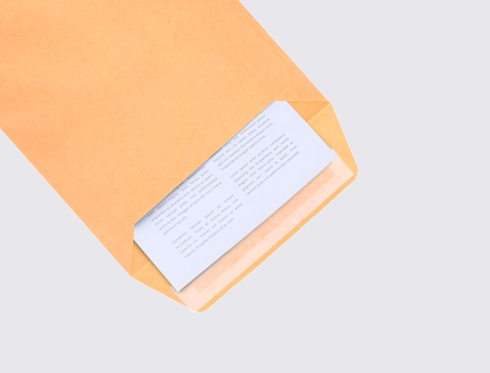 SOBRE LIDERPAPEL BOLSA N.0 CEL CAA SALARIOS 100X145MM TIRA SILICONA CAJA DE 1000 UNIDADES