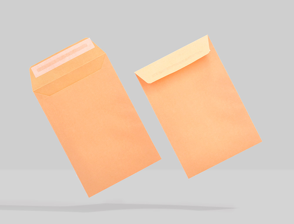SOBRE LIDERPAPEL BOLSA N.0 CEL CAA SALARIOS 100X145MM TIRA SILICONA CAJA DE 1000 UNIDADES