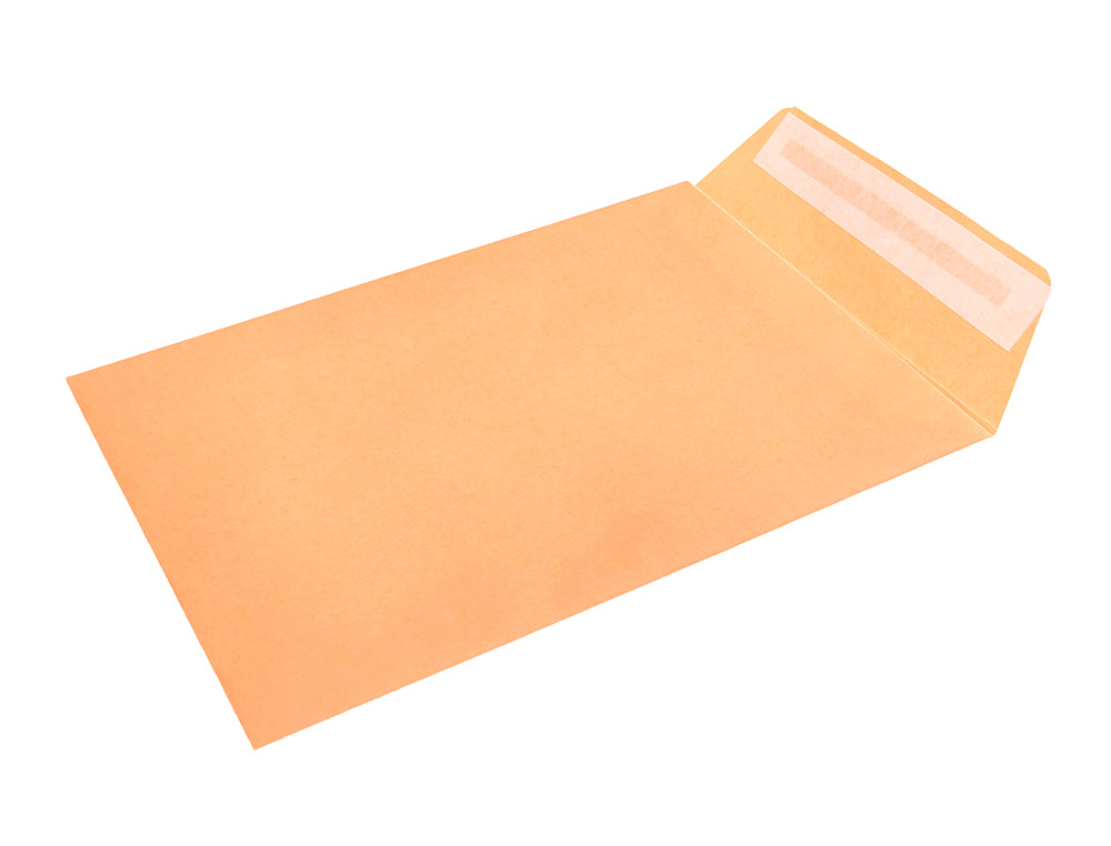 SOBRE LIDERPAPEL BOLSA N.0 CEL CAA SALARIOS 100X145MM TIRA SILICONA CAJA DE 1000 UNIDADES