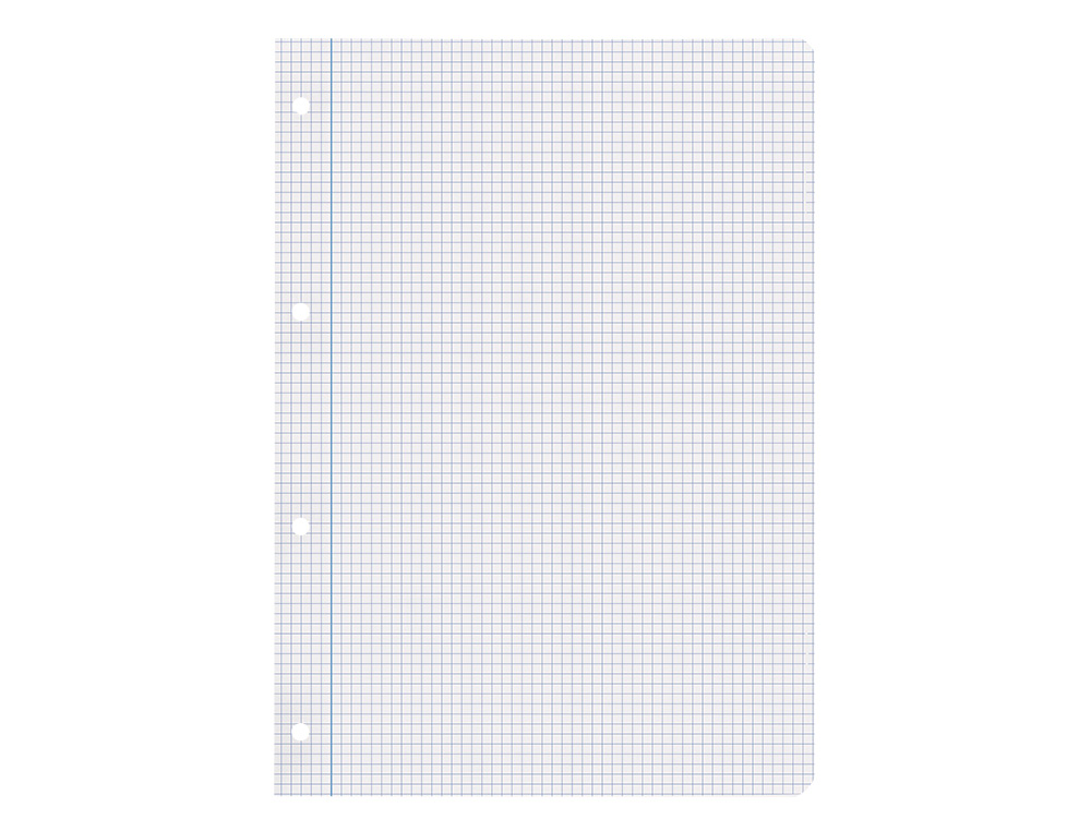 RECAMBIO LIDERPAPEL A4 100 HOJAS 100GR CUADRO 4MM CON M ARGEN 4 TALADROS