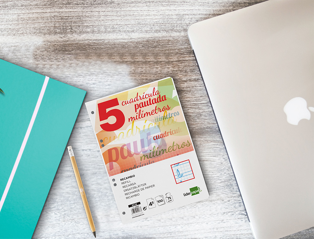 RECAMBIO LIDERPAPEL CUARTO PAUTAGUIA 100 HOJAS 75GR CUADRICULADO PAUTADO 5 MM CON MARGEN 6 TALADROS