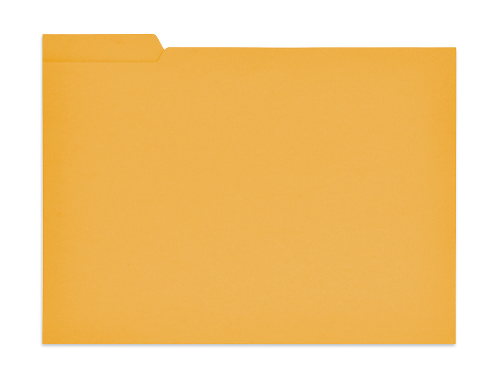SUBCARPETA CARTULINA GIO FOLIO PESTAA IZQUIERDA 250 G/M2 AMARILLO