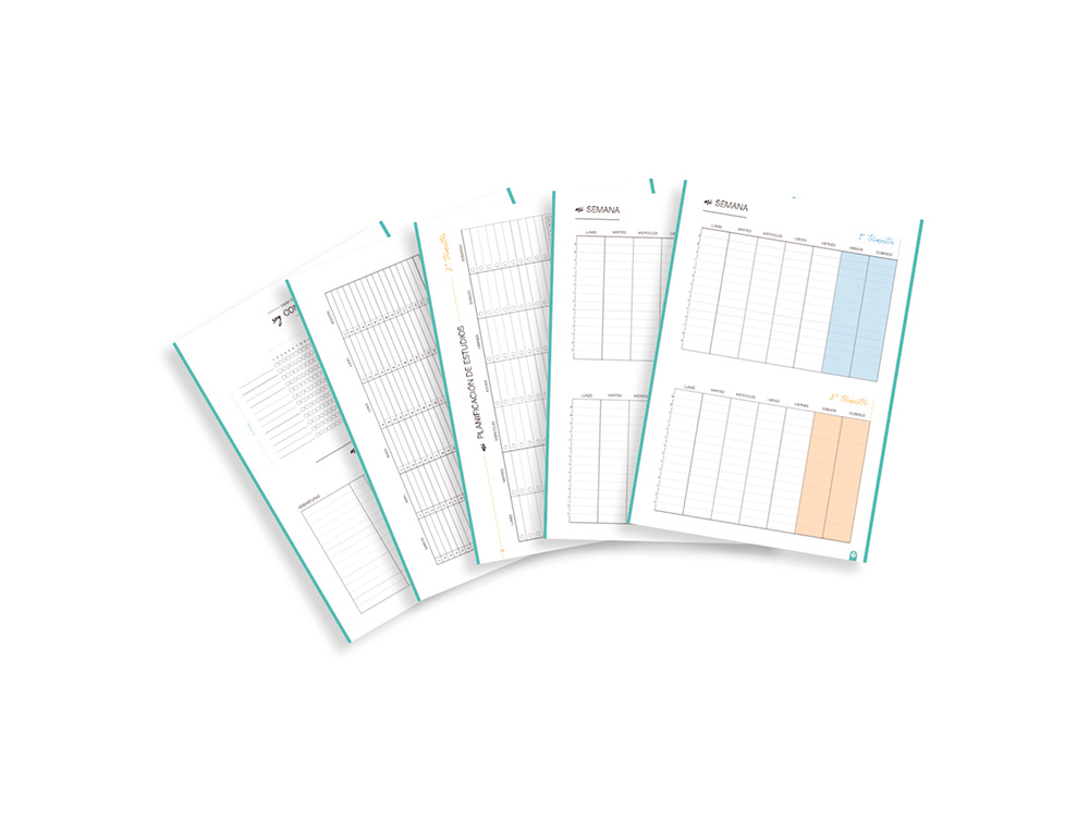 CARPETA CARPEBLOCK CARCHIVO DIN A4 FOAM CON RECAMBIO BONUS 360 SOFT STYLE COLOR VERDE MALVA