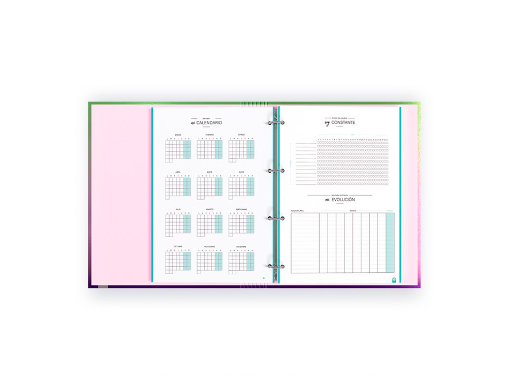 CARPETA CARPEBLOCK CARCHIVO DIN A4 FOAM CON RECAMBIO BONUS 360 SOFT STYLE COLOR VERDE MALVA